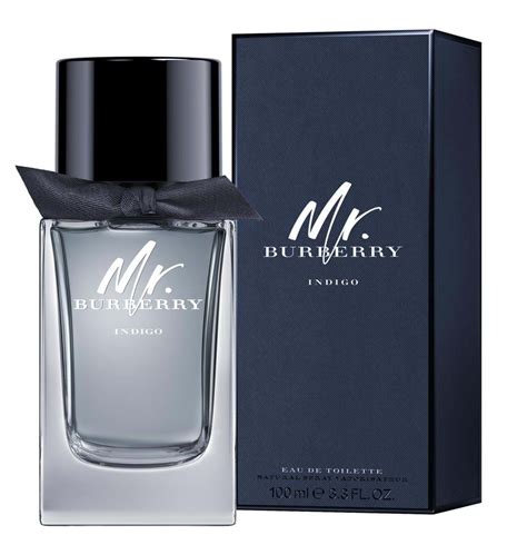 burberry mr burberry eau de parfum for men|mr burberry indigo 100ml.